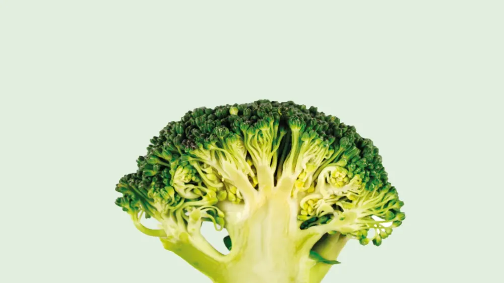 Why Diets Fail and What Actually Works: The Science of Sustainable Weight Loss